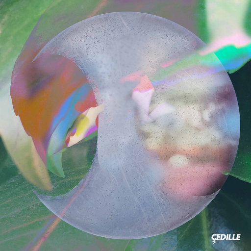 激情综合网欧美
